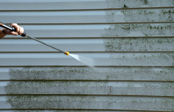 Best Roof Washing  in Portsmouth, VA